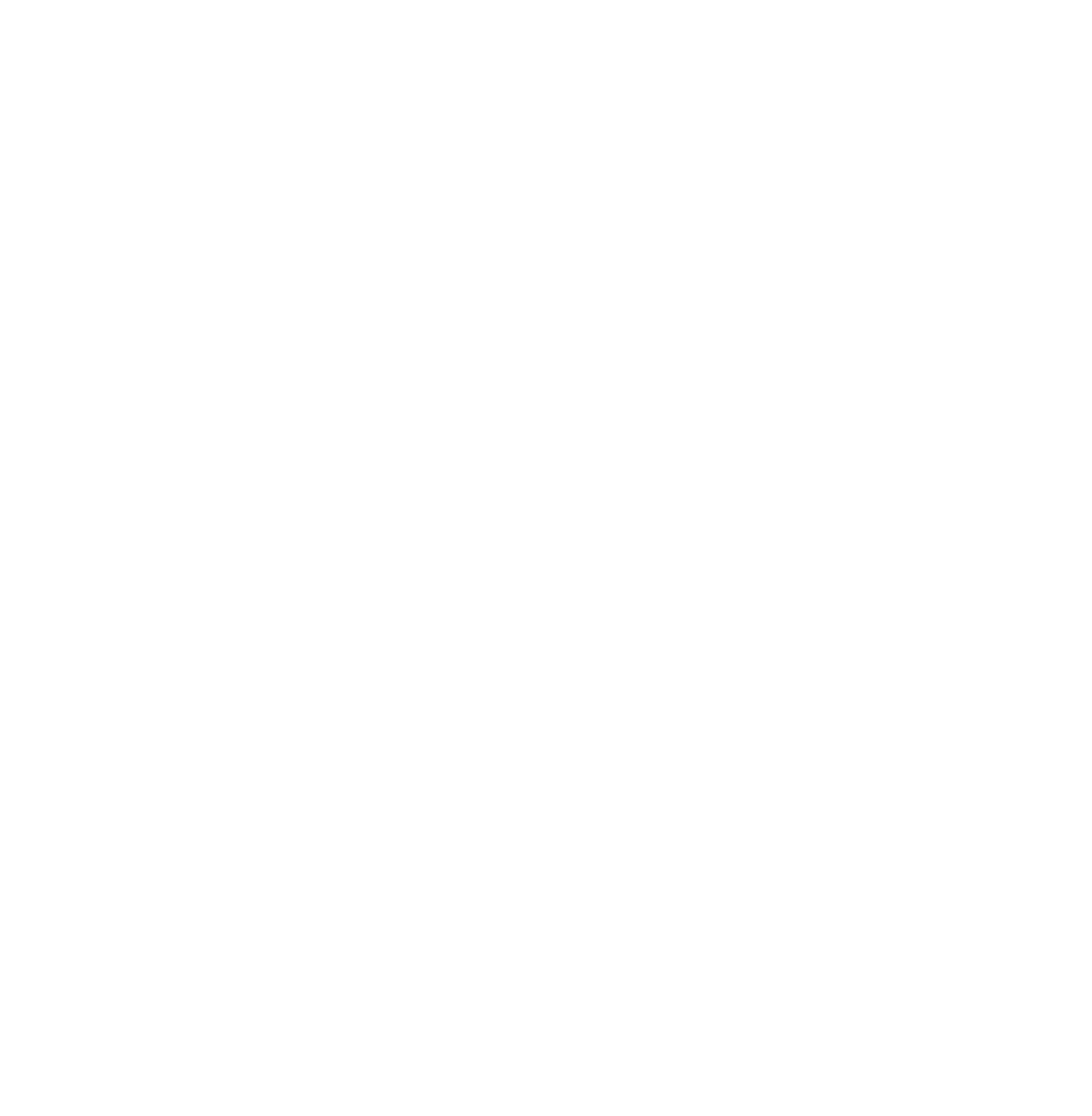 iconTwitter3